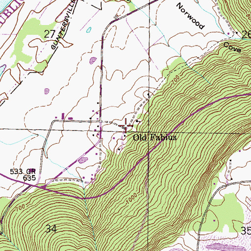 Topographic Map of Old Fabius, AL