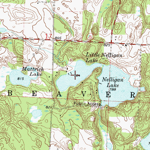 Topographic Map of Little Nelligan Lake, WI