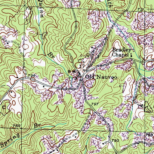 Topographic Map of Old Nauvoo, AL
