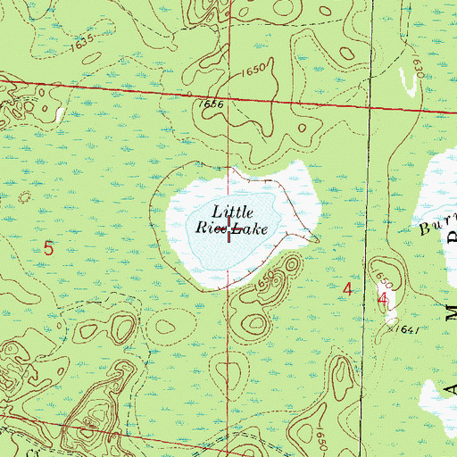 Topographic Map of Little Rice Lake, WI