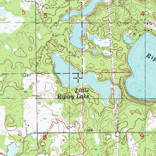 Topographic Map of Little Ripley Lake, WI