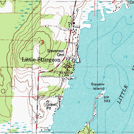 Topographic Map of Little Sturgeon, WI