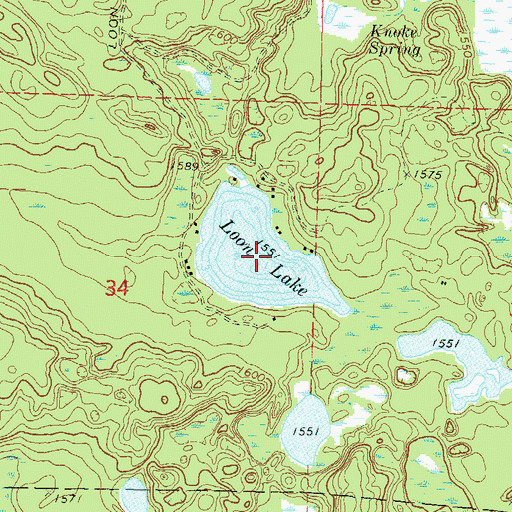 Topographic Map of Loon Lake, WI