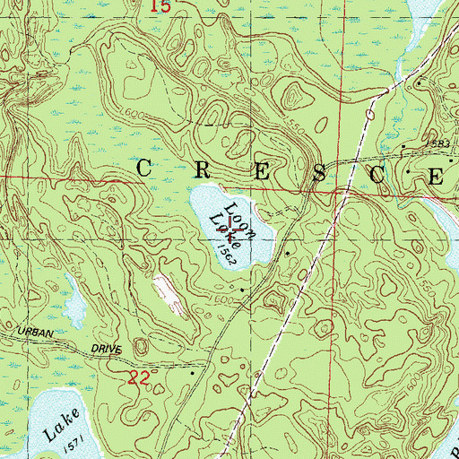 Topographic Map of Loon Lake, WI