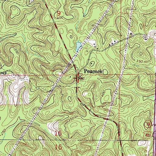 Topographic Map of Peacock, AL