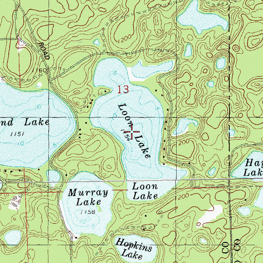 Topographic Map of Loon Lake, WI