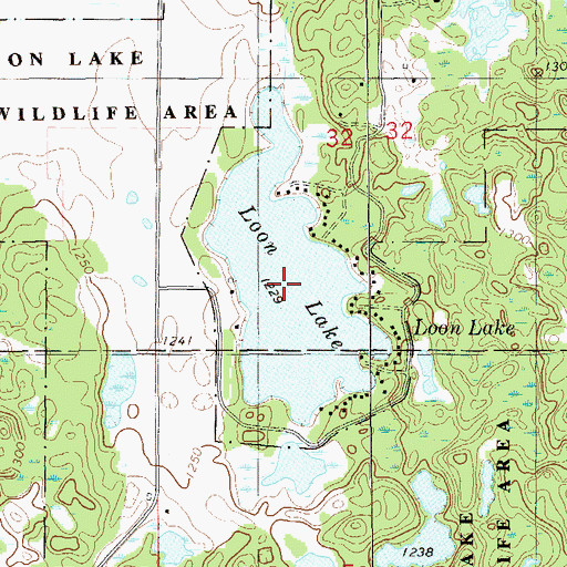 Topographic Map of Loon Lake, WI