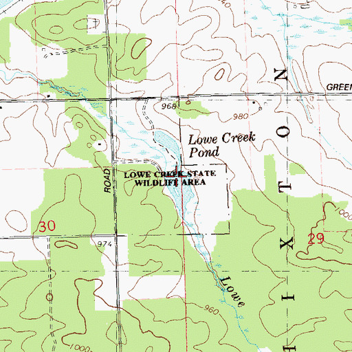 Topographic Map of Lowe Creek Pond, WI