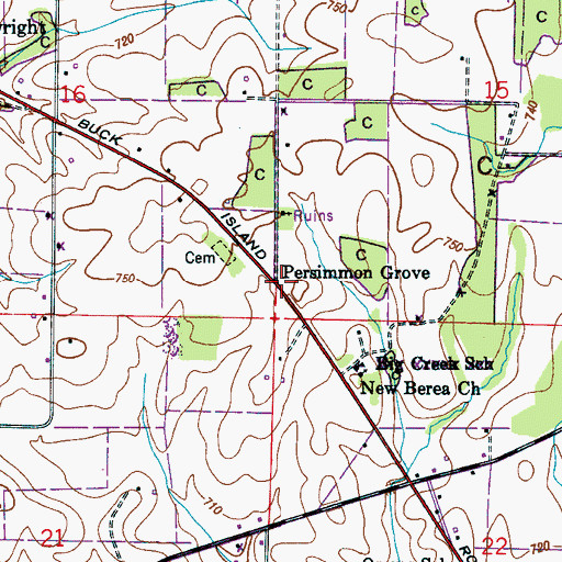 Topographic Map of Persimmon Grove, AL