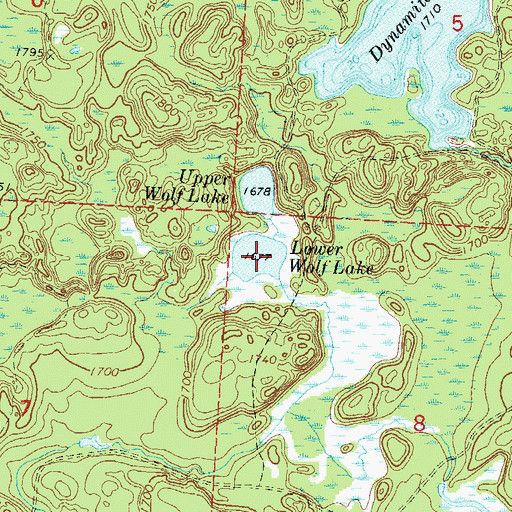 Topographic Map of Lower Wolf Lake, WI