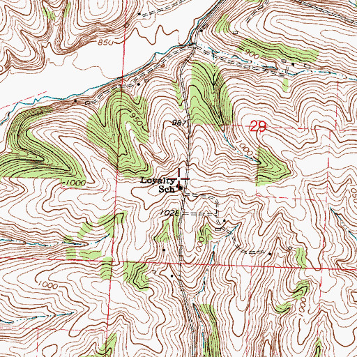Topographic Map of Loyalty School, WI