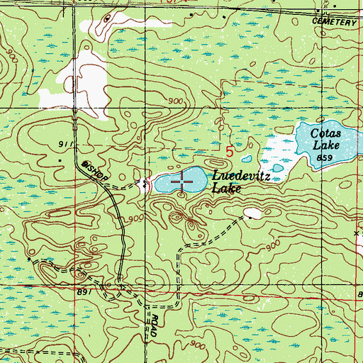 Topographic Map of Luedevitz Lake, WI