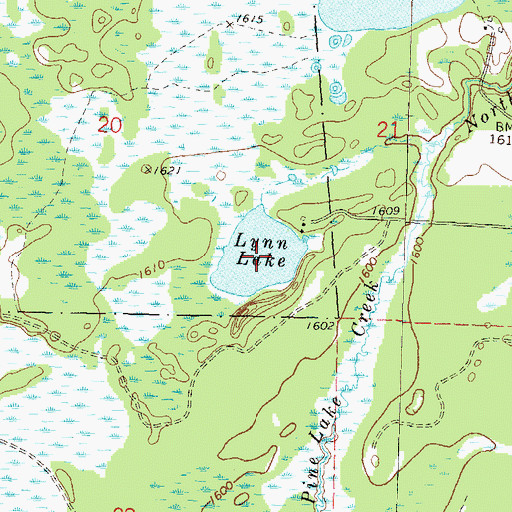 Topographic Map of Lynn Lake, WI