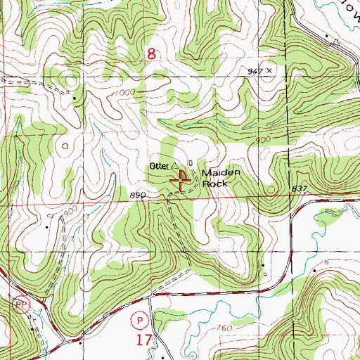 Topographic Map of Maiden Rock, WI