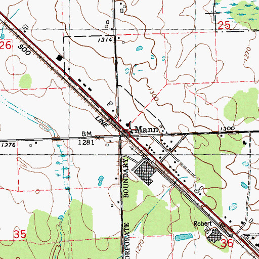 Topographic Map of Mann, WI