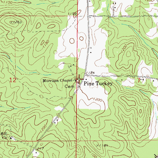 Topographic Map of Pine Tuckey, AL