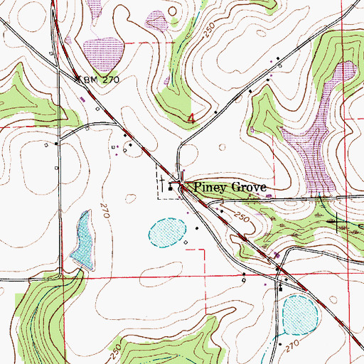 Topographic Map of Piney Grove, AL