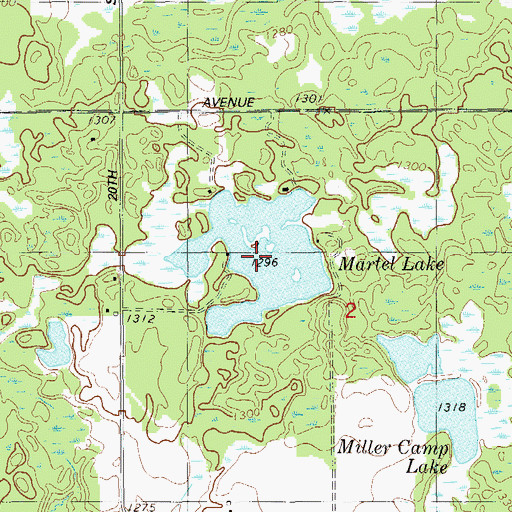 Topographic Map of Martel Lake, WI