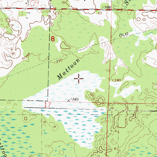 Topographic Map of Mattoon Swamp, WI