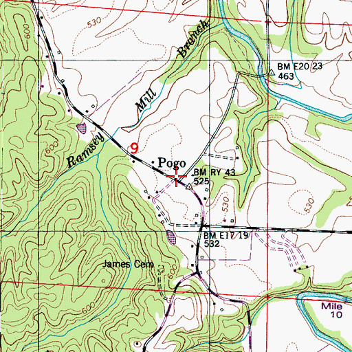 Topographic Map of Pogo, AL