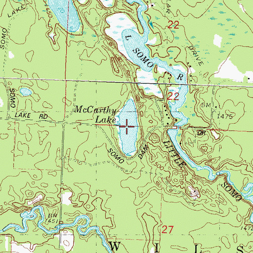 Topographic Map of McCarthy Lake, WI
