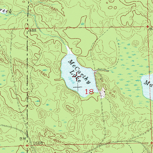 Topographic Map of McCarthy Lake, WI
