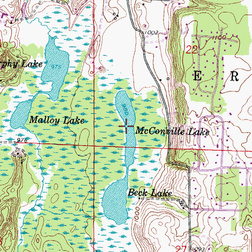 Topographic Map of McConville Lake, WI