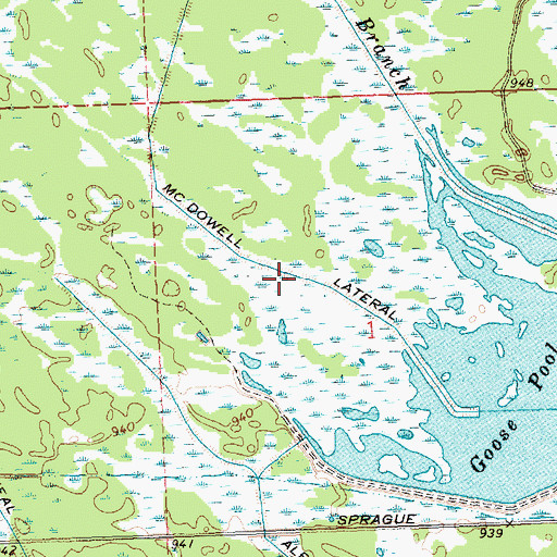 Topographic Map of McDowell Lateral, WI