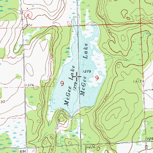 Topographic Map of McGee Lake, WI