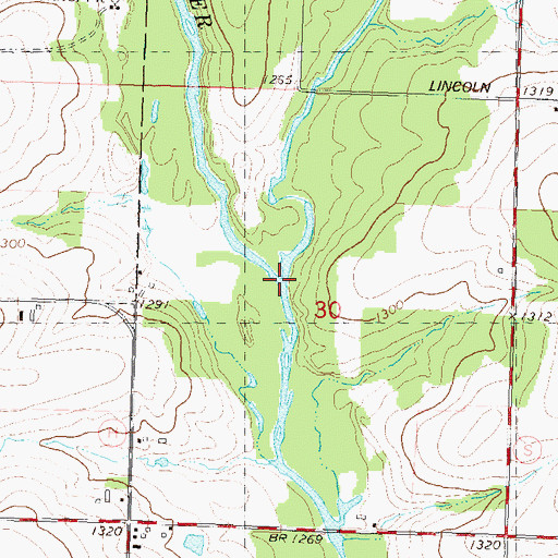 Topographic Map of McGinnis Creek, WI