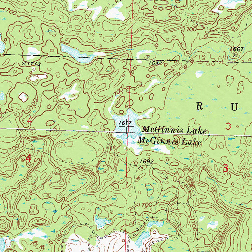 Topographic Map of McGinnis Lake, WI