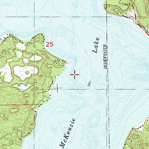 Topographic Map of McKenzie Lake, WI
