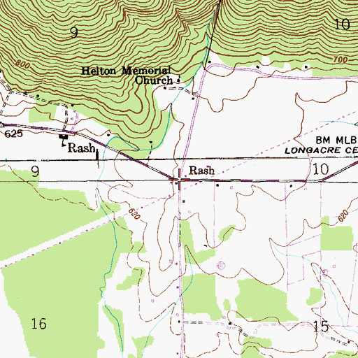 Topographic Map of Rash, AL