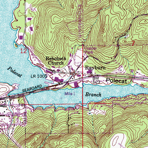 Topographic Map of Rayburn, AL