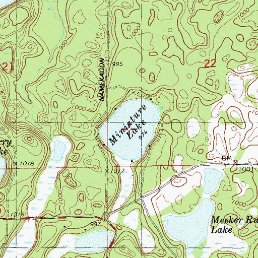 Topographic Map of Miniature Lake, WI