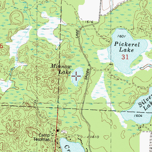 Topographic Map of Minnow Lake, WI