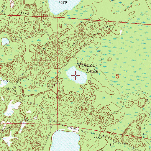 Topographic Map of Minnow Lake, WI