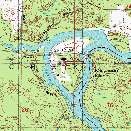 Topographic Map of Miscauno Island, WI