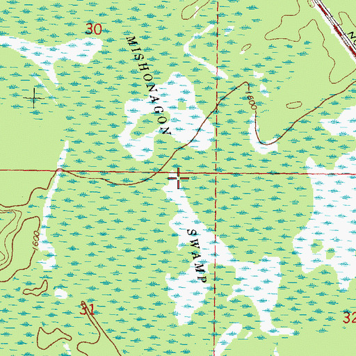 Topographic Map of Mishonagon Swamp, WI