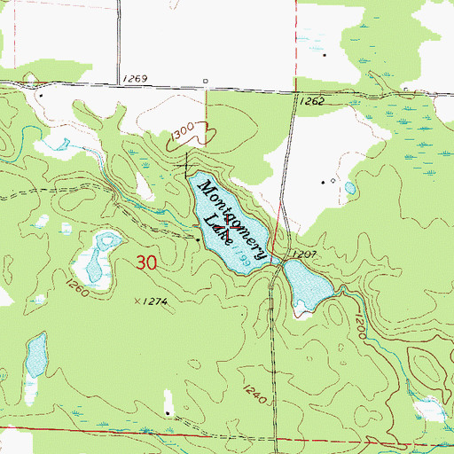 Topographic Map of Montgomery Lake, WI