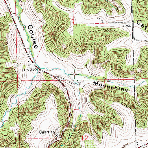 Topographic Map of Moonshine Hollow, WI
