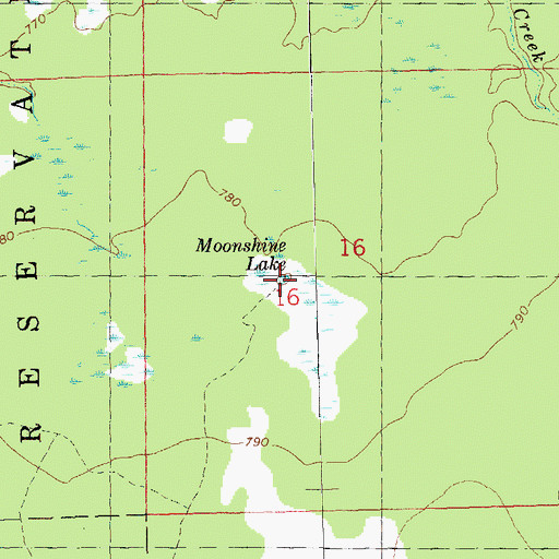 Topographic Map of Moonshine Lake, WI