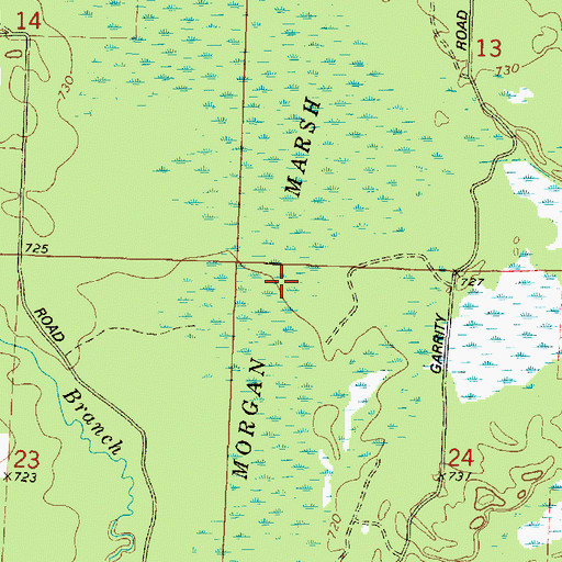 Topographic Map of Morgan Marsh, WI