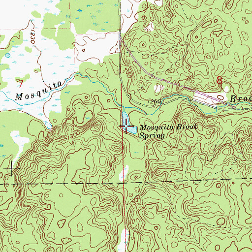 Topographic Map of Mosquito Brook Spring, WI