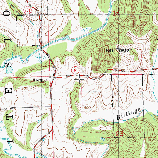 Topographic Map of Mount Pisgah Church, WI