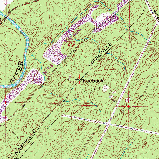 Topographic Map of Roebuck, AL