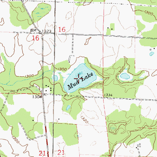 Topographic Map of Mud Lake, WI