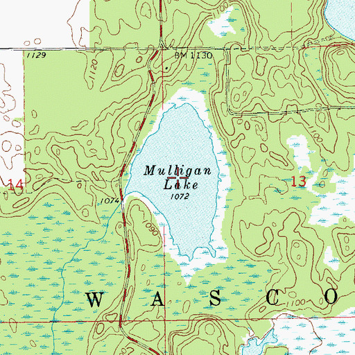 Topographic Map of Mulligan Lake, WI