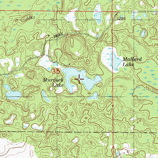 Topographic Map of Murdock Lake, WI