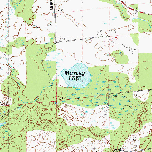 Topographic Map of Murphy Lake, WI